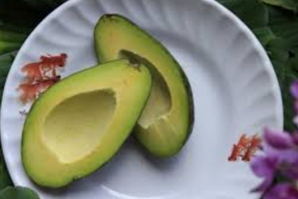 Avocado Avocado
