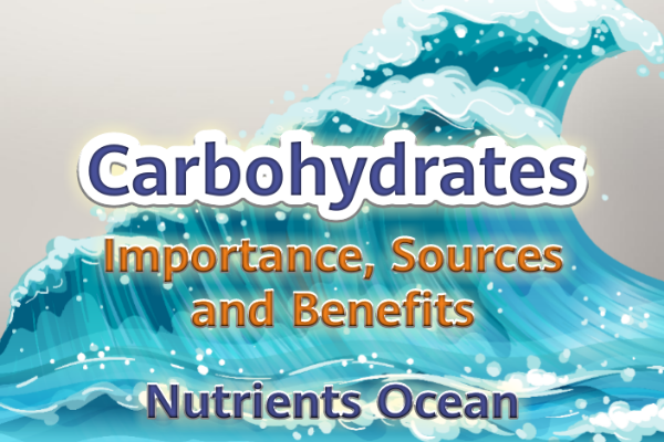 Carbohydrates: Essential Nutrient to Fuel Your Body