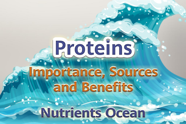 Proteins a Health Essential