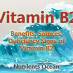 Vitamin B2 as A Key Player in Optimal Health