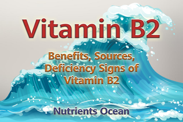 Vitamin B2 as A Key Player in Optimal Health