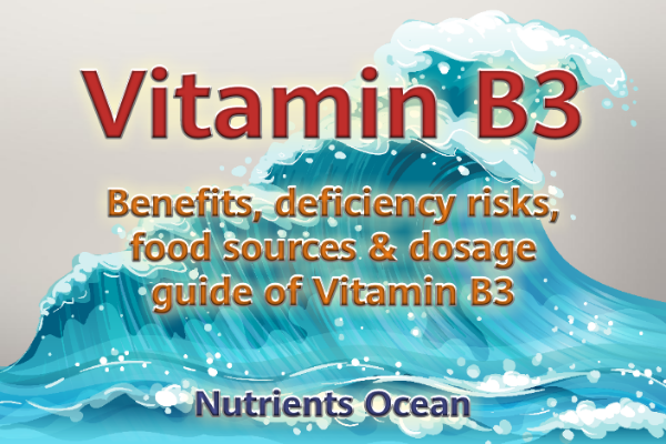 Health Benefits of Vitamin B3