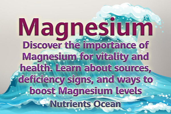 Magnesium: A Vital Nutrient for Optppimal Health