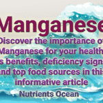 Manganese: A Nutritional Marvel