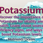 Potassium: A Vital Nutrient for Human Health