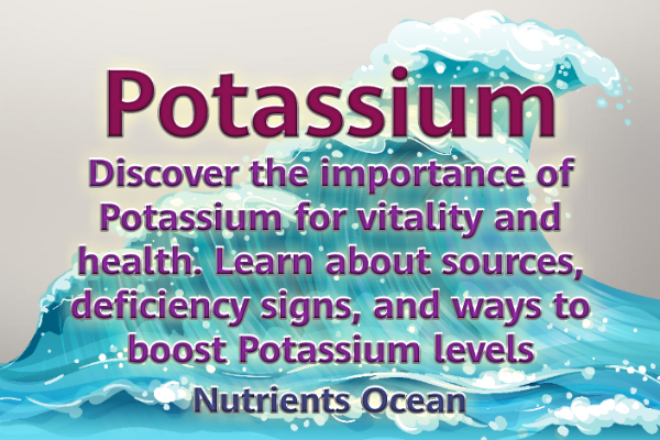 Potassium: A Vital Nutrient for Human Health