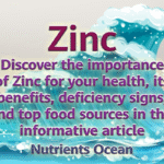 Explore the Benefits of Zinc: An Essential Nutrient
