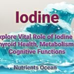 Role of Iodine in Health and Vitality